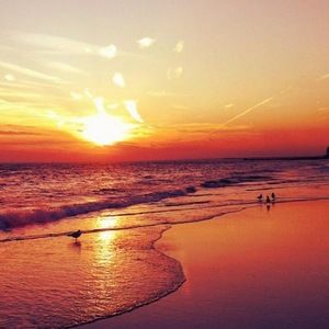 Meet your Posher, Aytrail